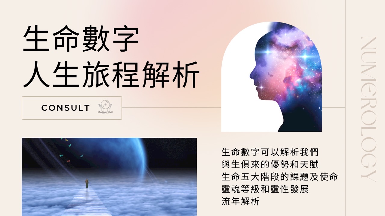 生命數字人生旅程解析